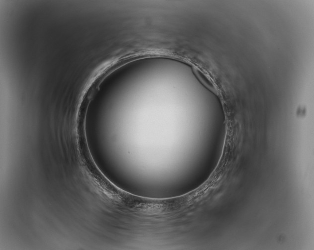 X0000097980104200803241309