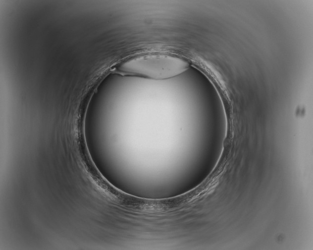 X0000097980105200803241309
