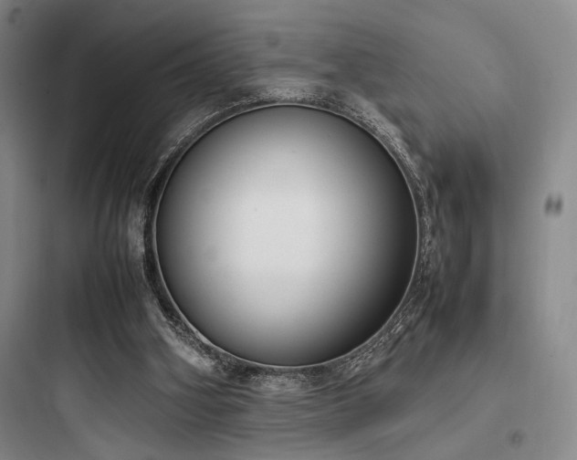 X0000097980106200803241309