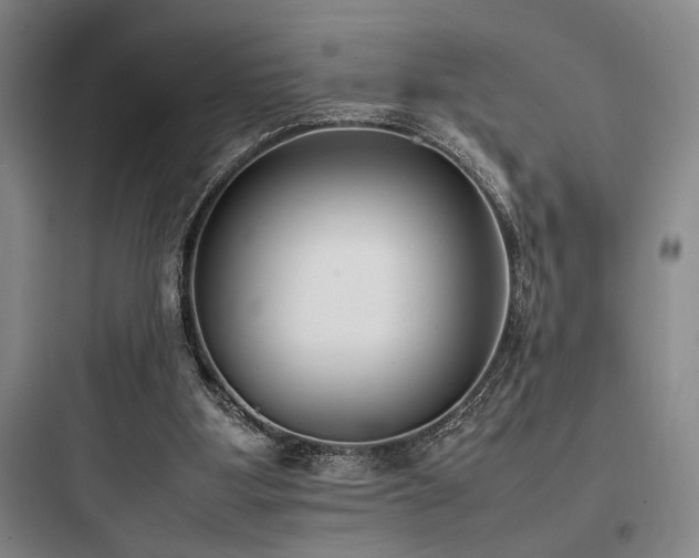 X0000097980107200803241309