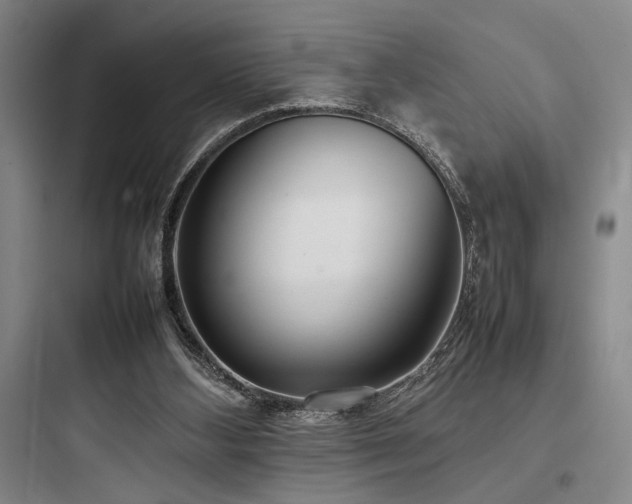 X0000097980108200803241309