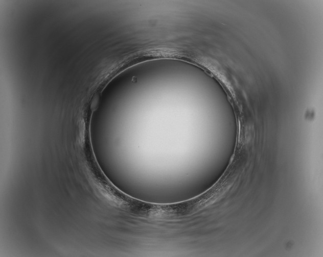 X0000097980109200803241309
