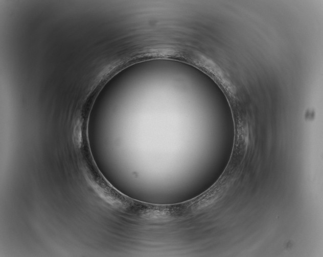 X0000097980110200803241309