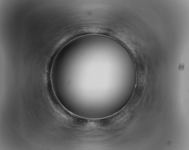 X0000097980111200803241309