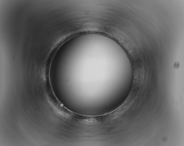 X0000097980112200803241308