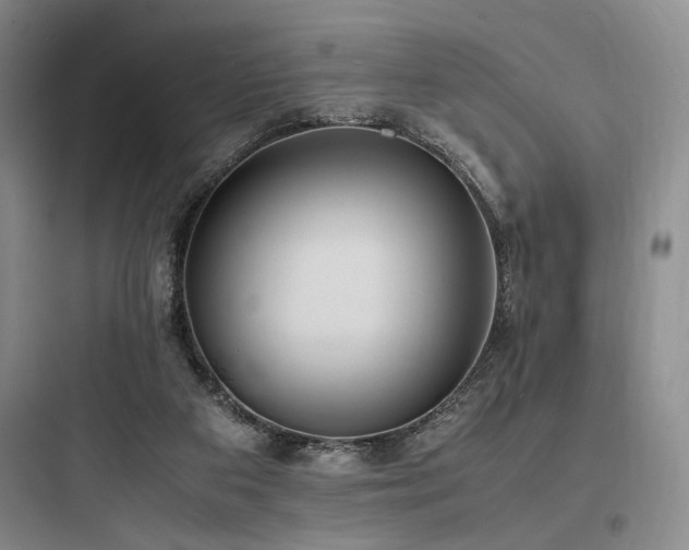 X0000097980113200803241308