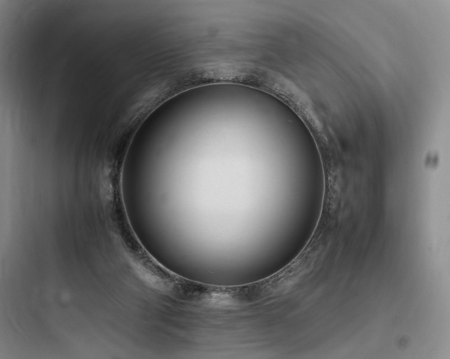 X0000097980114200803241308