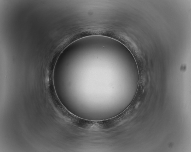 X0000097980115200803241308