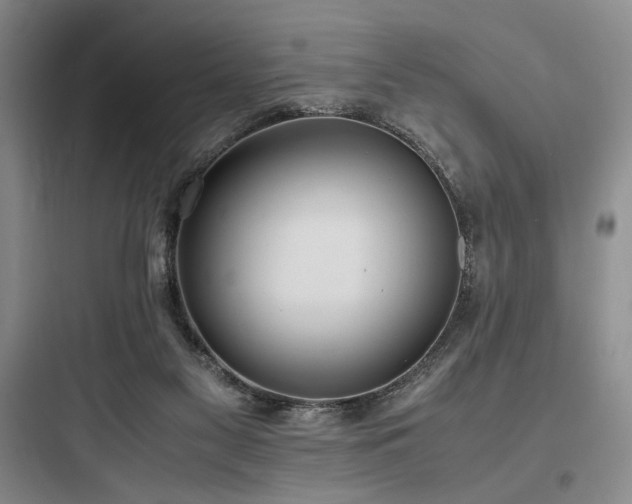 X0000097980117200803241308