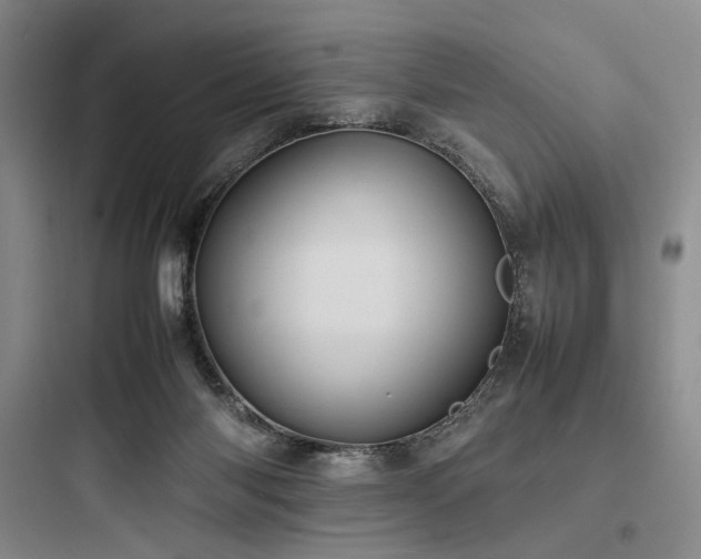 X0000097980118200803241308
