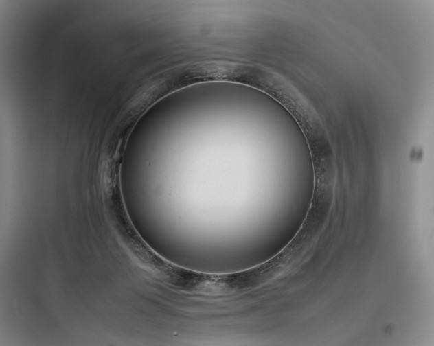 X0000097980119200803241308