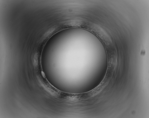 X0000097980120200803241308