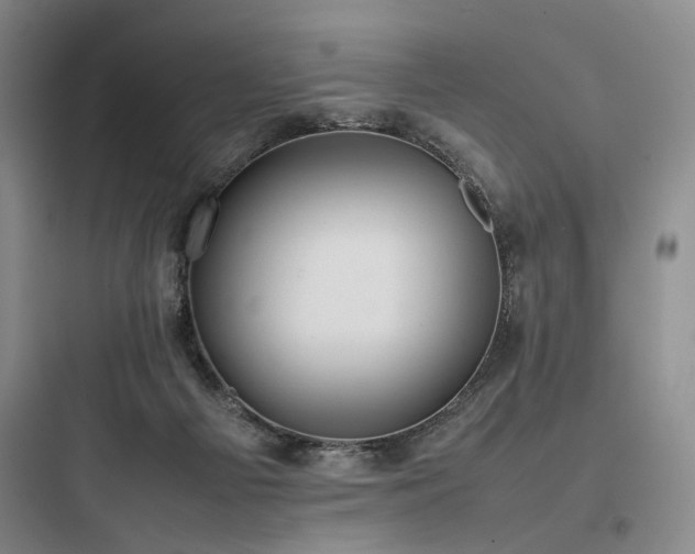 X0000097980121200803241308