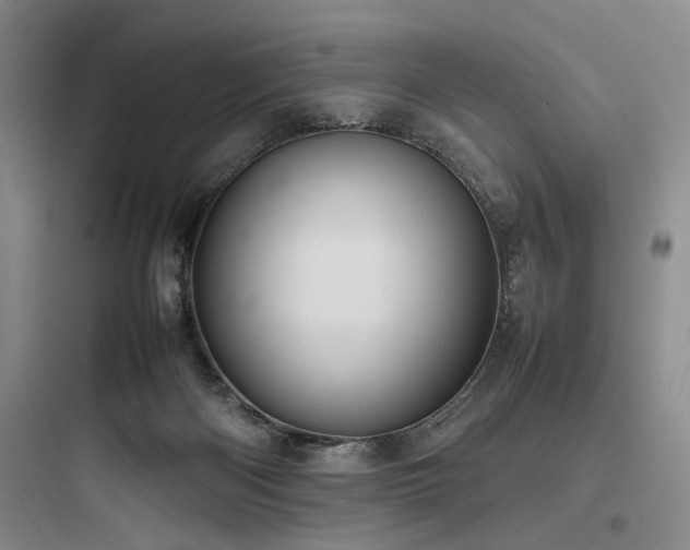 X0000097980122200803241308