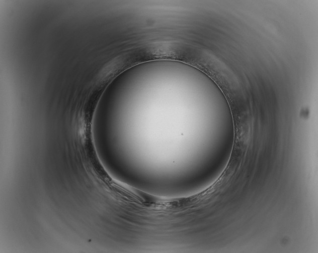 X0000097980124200803241308