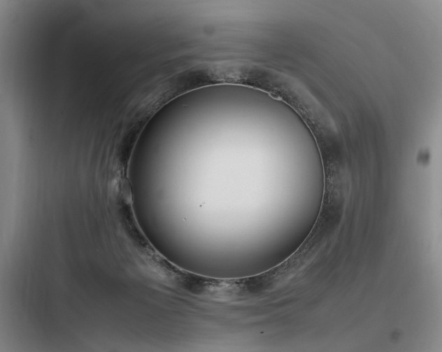 X0000097980125200803241308