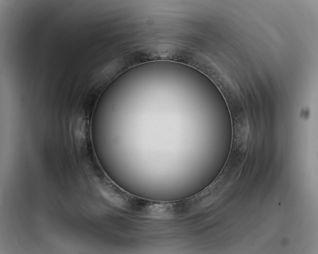 X0000097980126200803241308