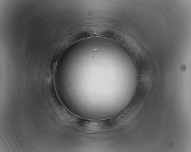 X0000097980129200803241308