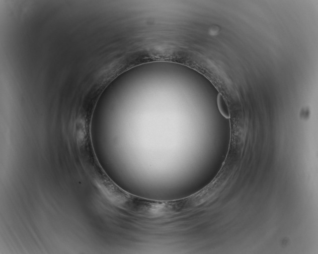 X0000097980130200803241308