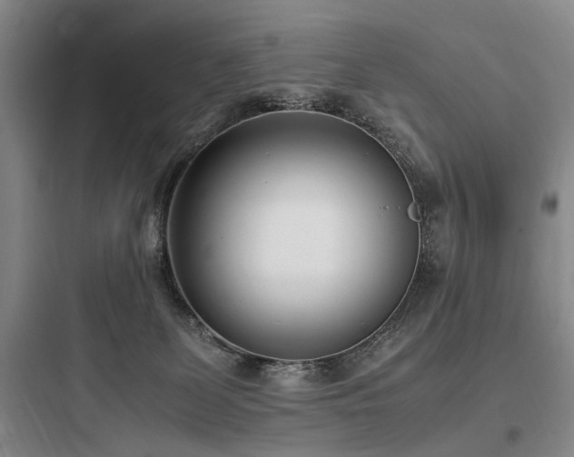 X0000097980131200803241308