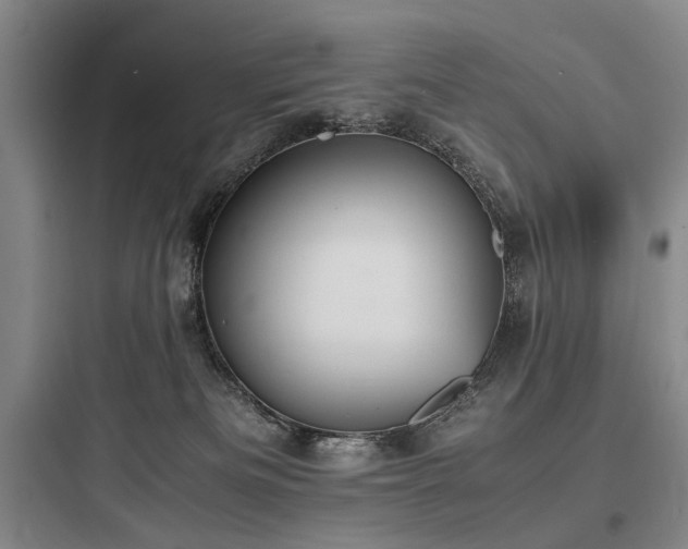 X0000097980133200803241308