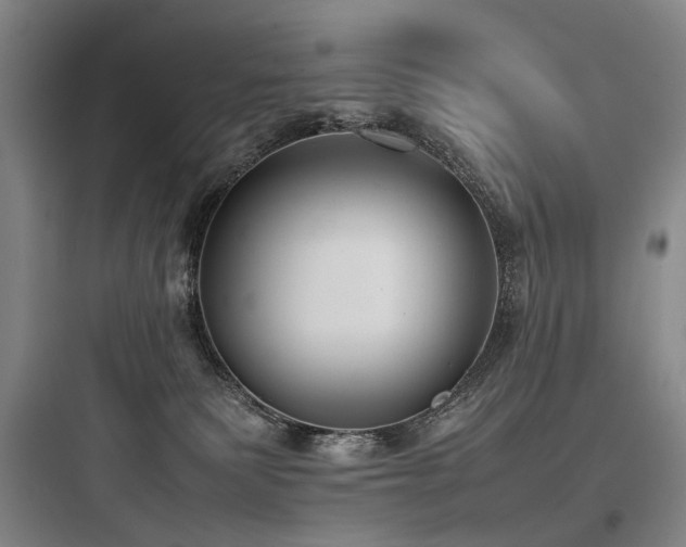 X0000097980135200803241308