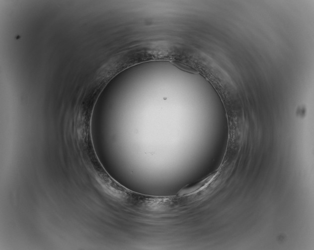 X0000097980136200803241308