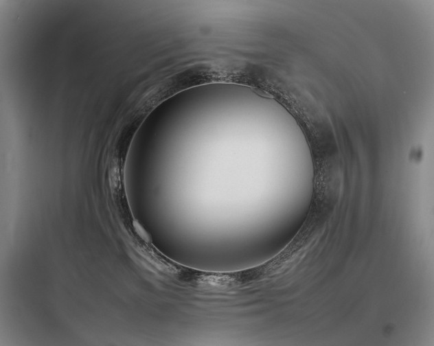 X0000097980137200803241308