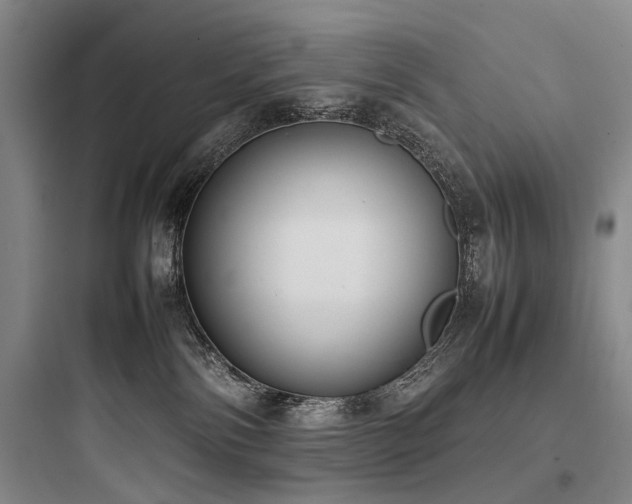 X0000097980138200803241308