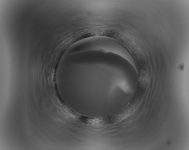 X0000097980139200803241308