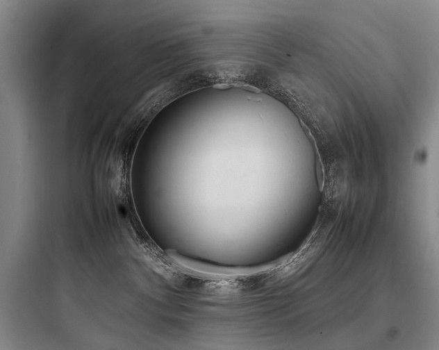 X0000097980140200803241308