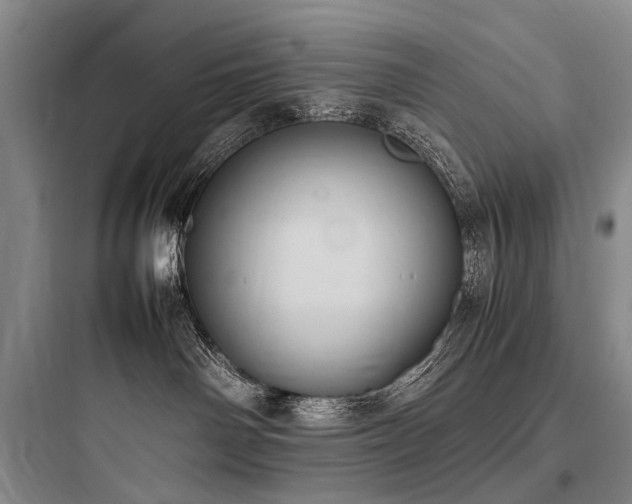X0000097980142200803241308