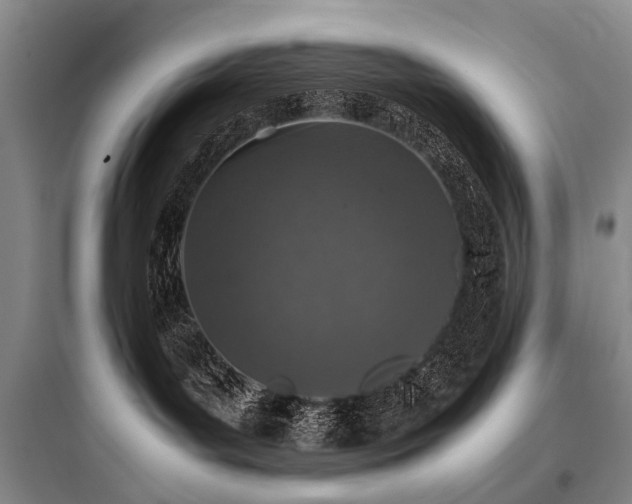 X0000097980143200803241308