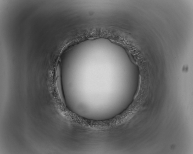 X0000097980144200803241308
