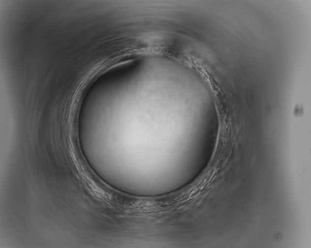 X0000097980145200803241307