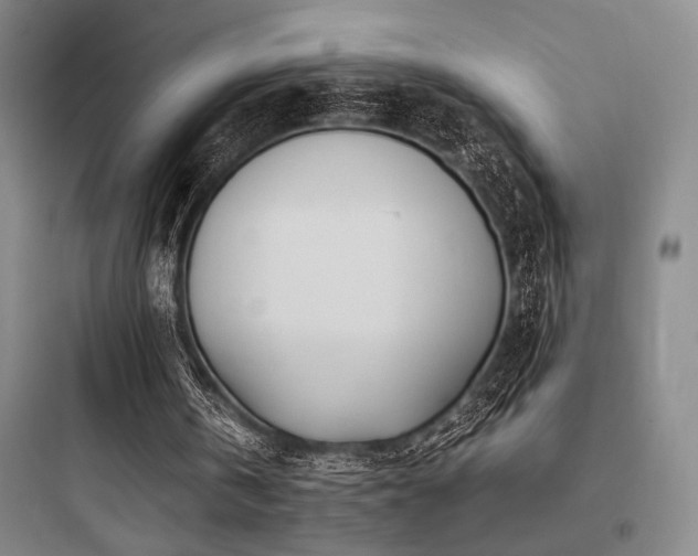 X0000097980146200803241307