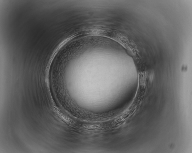 X0000097980147200803241307