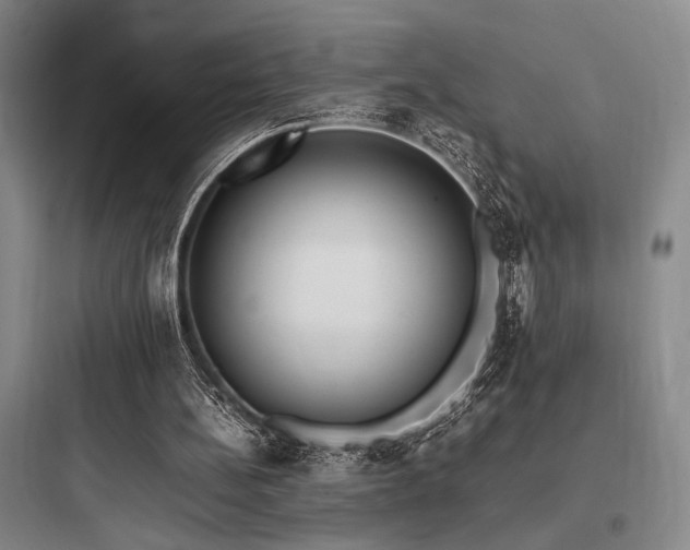 X0000097980148200803241307