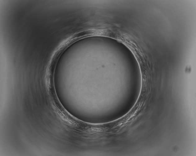 X0000097980149200803241307