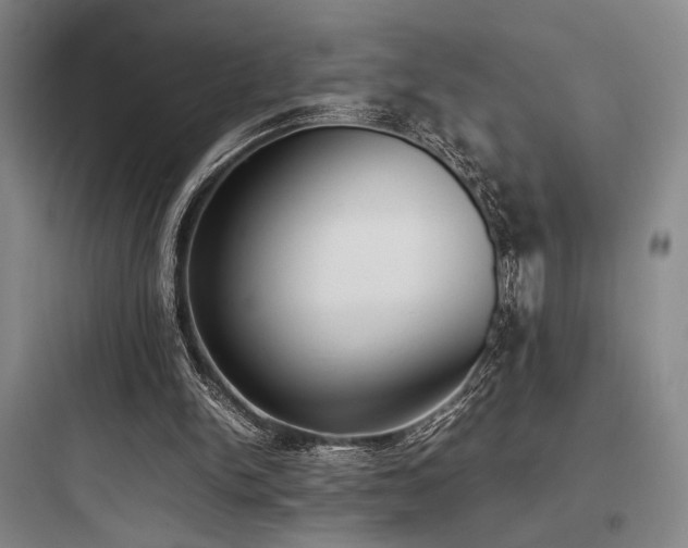 X0000097980150200803241307