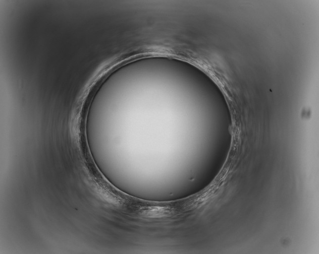 X0000097980151200803241307