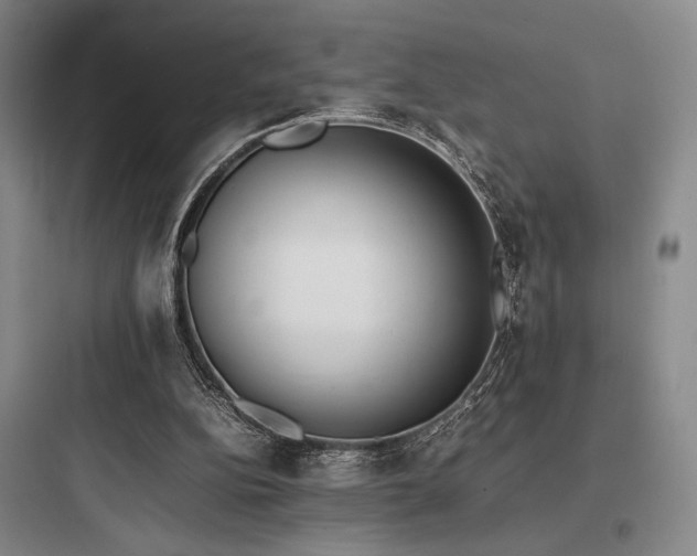 X0000097980152200803241307
