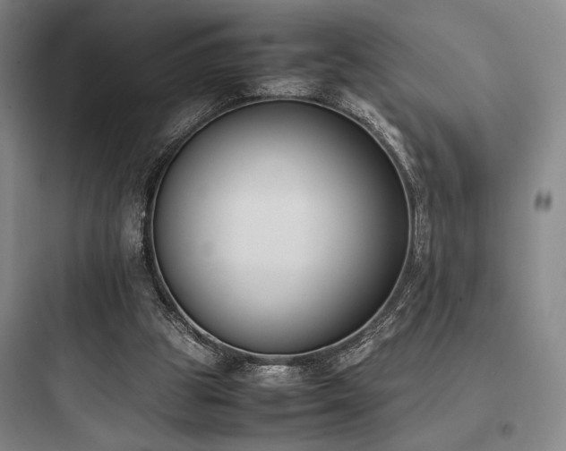 X0000097980153200803241307