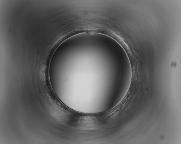 X0000097980154200803241307