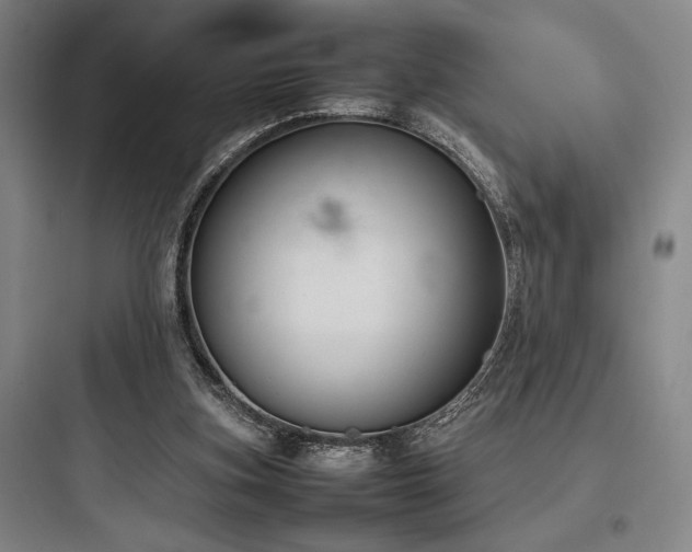 X0000097980155200803241307