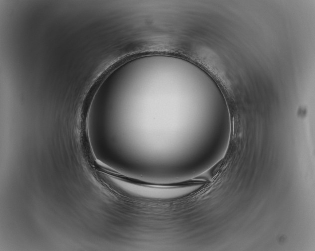 X0000097980156200803241307