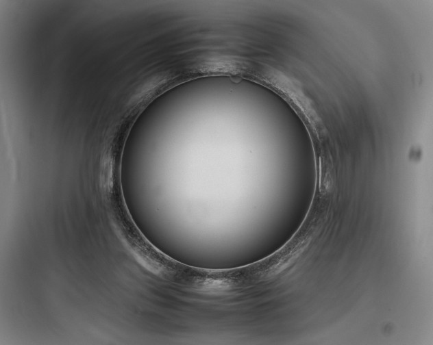 X0000097980157200803241307