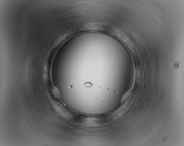 X0000097980158200803241307