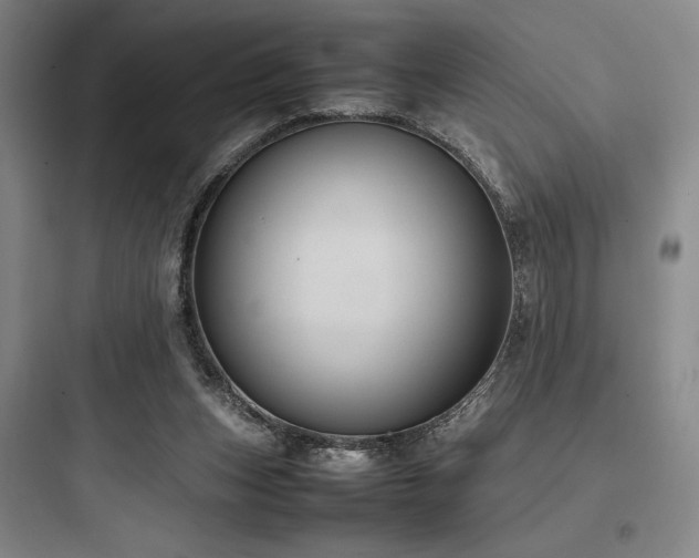 X0000097980159200803241307