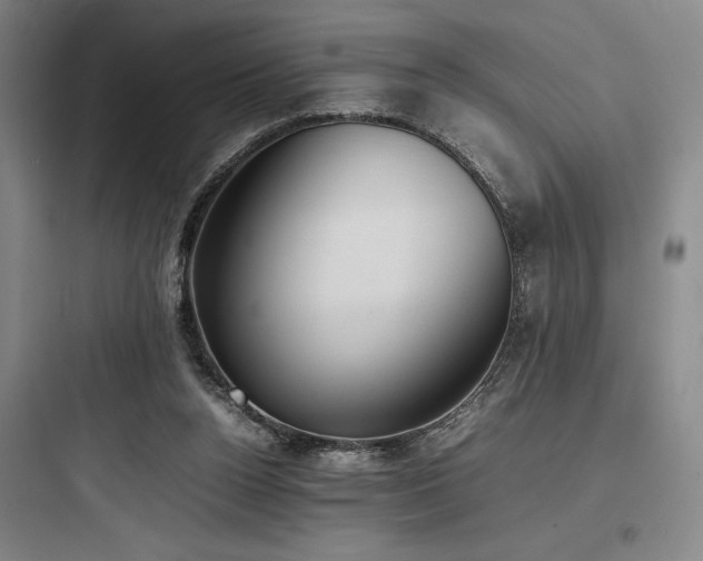 X0000097980160200803241307